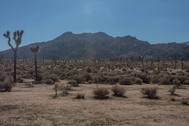 Riverside y el Silencio Místico de Joshua Tree | Rhual